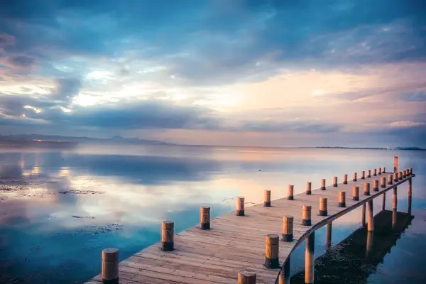 法律为什么不保护被害人