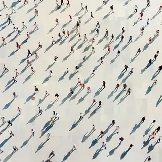 审计方面有什么法律法规