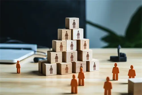 为什么喜欢法律新闻报道