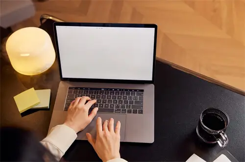 完全依赖法律的社会叫什么