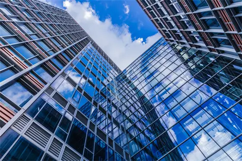 在什么国家的法律规定中