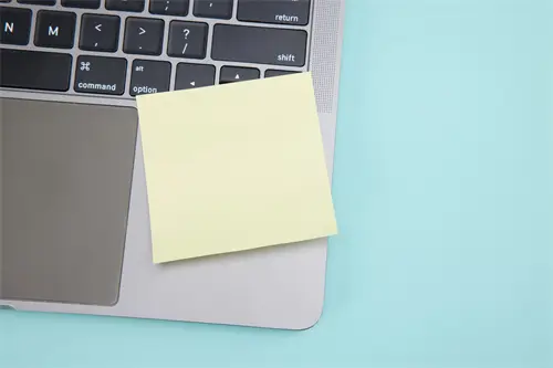 牡字的笔顺怎么写，正确写法详解